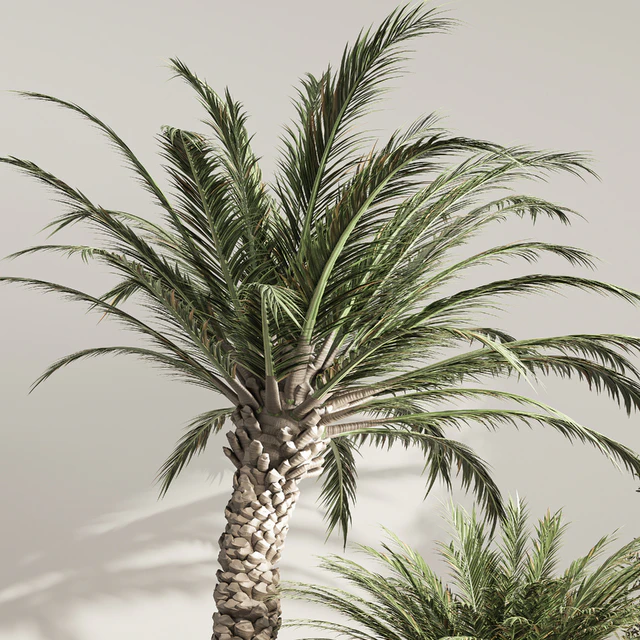 indoor plant set 36 — Скачать