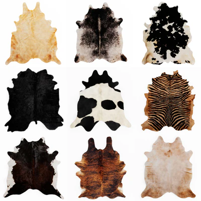 Nine Rugs From Animal Skins 09 — Ver 1