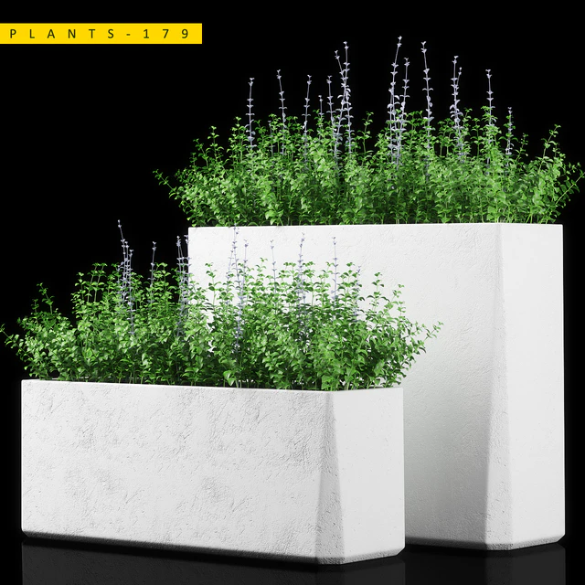PLANTS 179 — Descargar