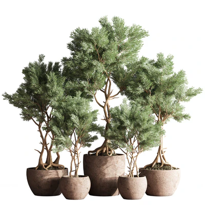 Indoor Plant Set 76 — View 1