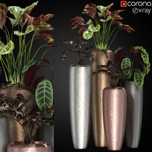 Plants collection 272 Fleur ami LOFT — Скачать