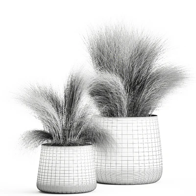 Collection of plants of fluffy bushes in outdoor pots Grass grass, hummock. Set 908. — Ver 4