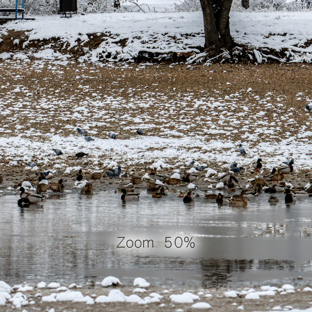 Panorama of the park with a lake and snow-covered trees. 46k — Descargar