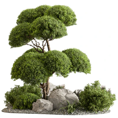 Garden Plants - Outdoor Plants 598 — download