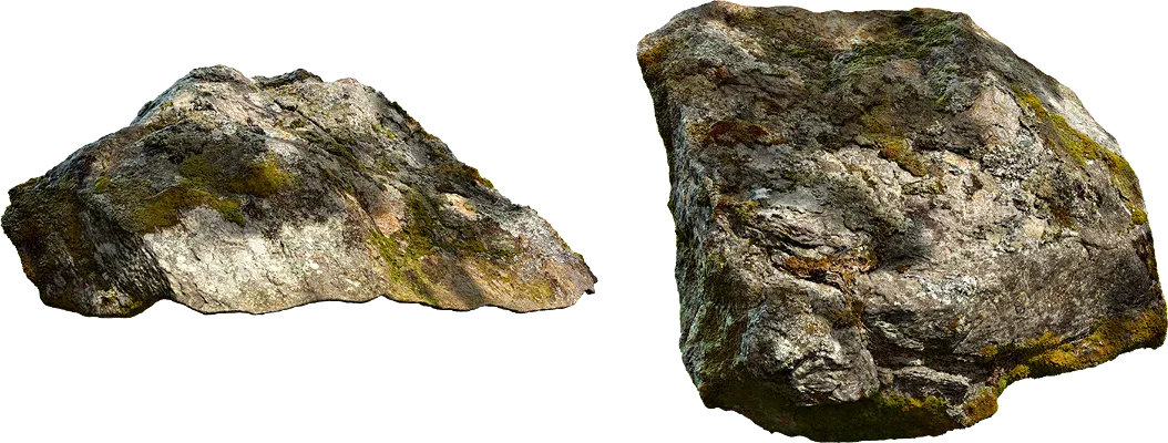 lichen rock 001 — Скачать