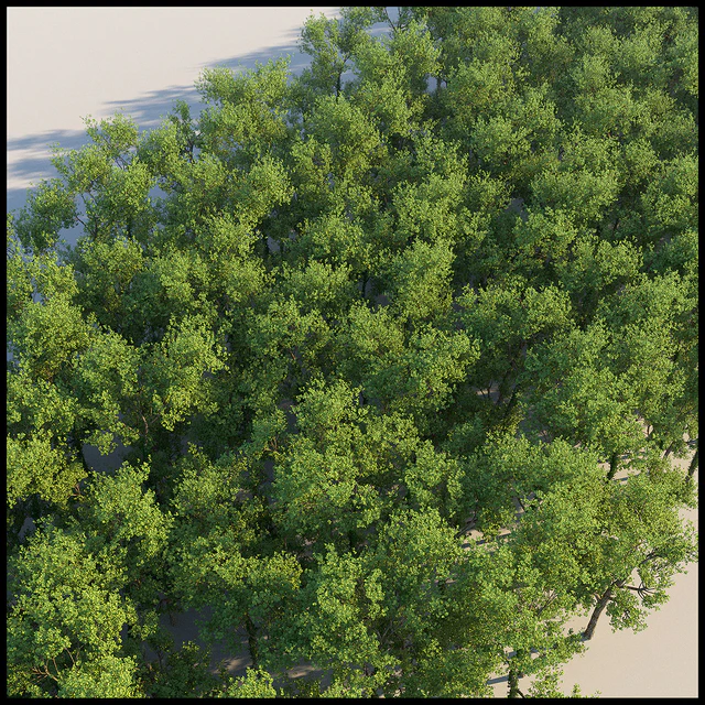 Tree Grab — Скачать