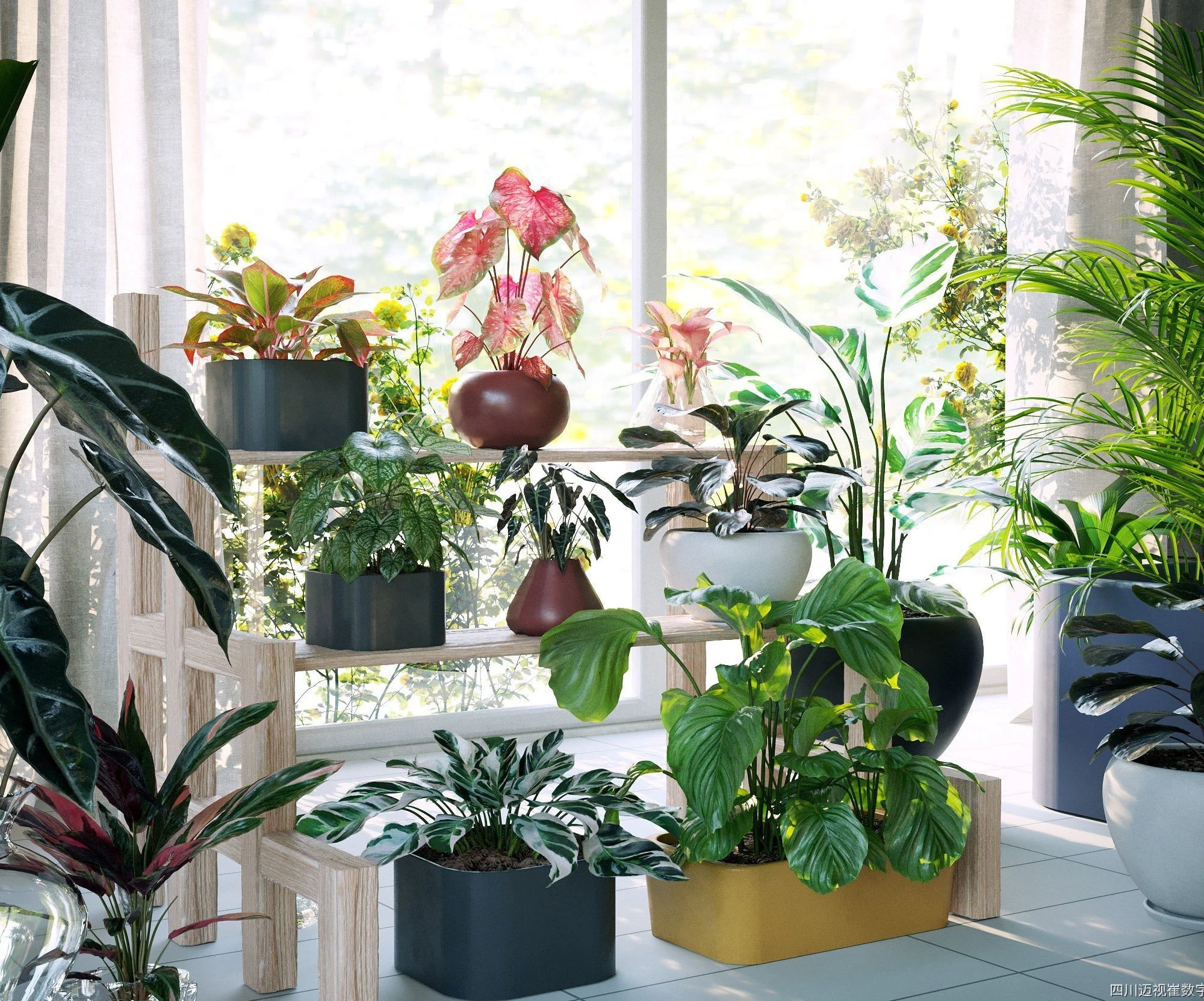 plant models vol 062 — Descargar