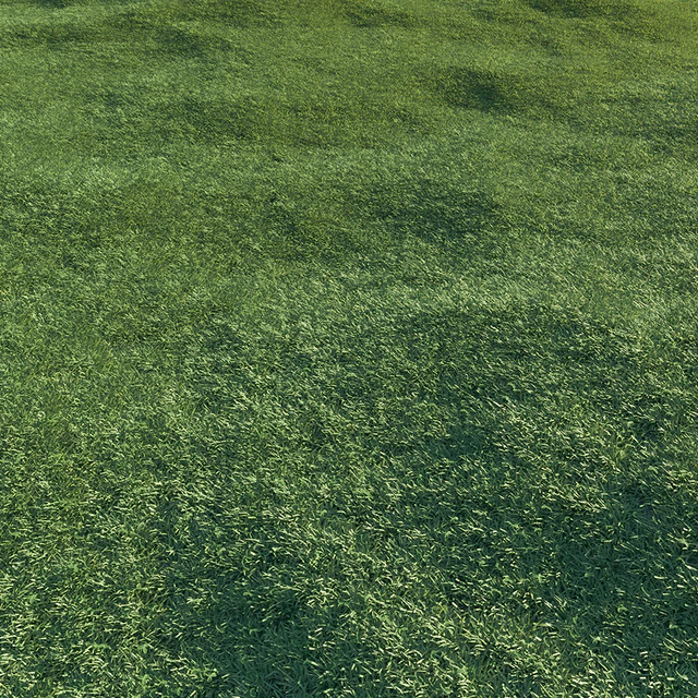 Lawn grass — Descargar
