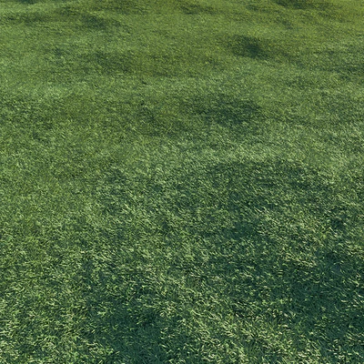 Lawn grass — Ver 3
