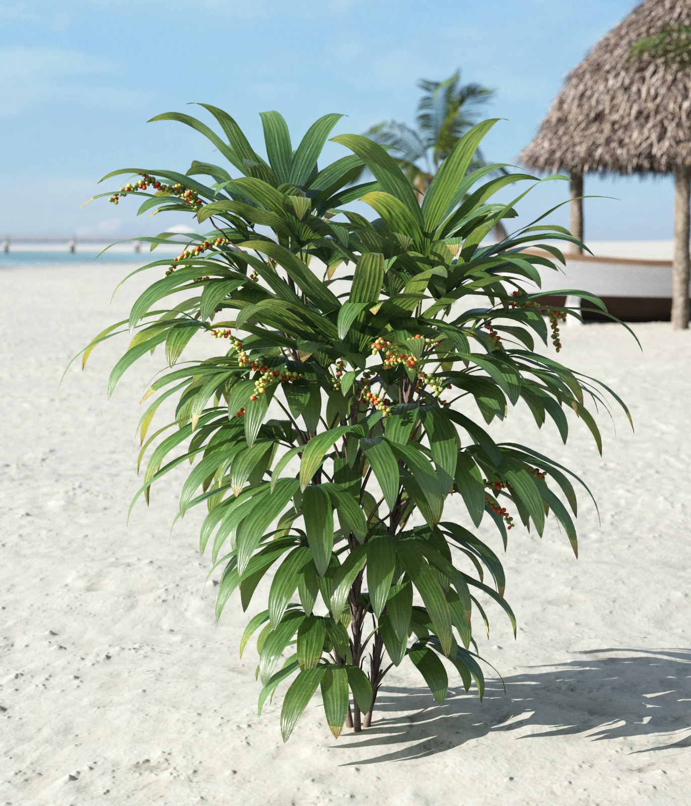 palm trees 026 — Скачать