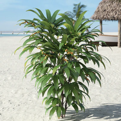 palm trees 026 — Скачать