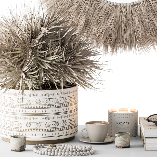 Decorative Set moon Thatch with Dried Plant - Set 105 — Скачать