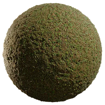 wild grass 038 — Скачать