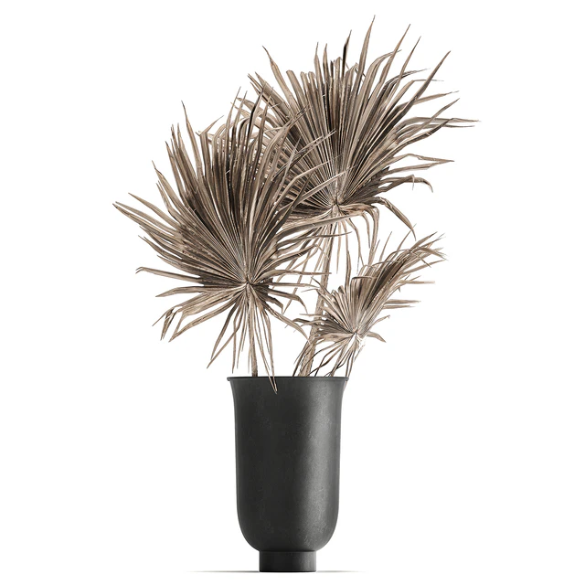 A set of flower bouquets in vases of dried flowers, palm branch, pampas grass, reed grass, hydrangea, thorns. 283 — Descargar
