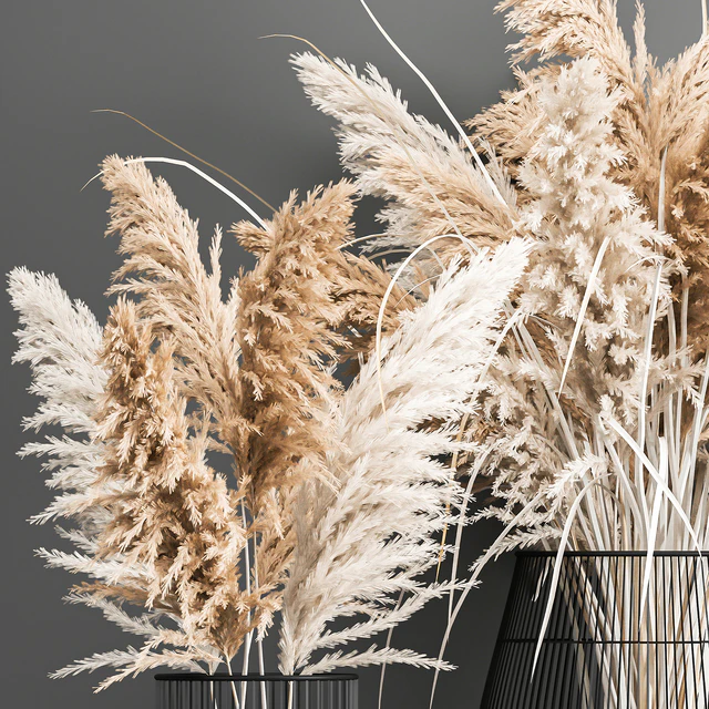 Пышный букет из сухоцветов в корзине с пампас,  Пампасная трава, Кортадерия, ветка. 192. — Скачать