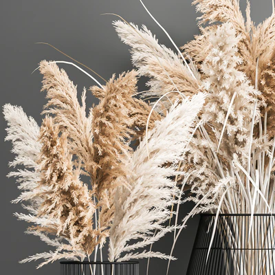Пышный букет из сухоцветов в корзине с пампас,  Пампасная трава, Кортадерия, ветка. 192. — Вид 3