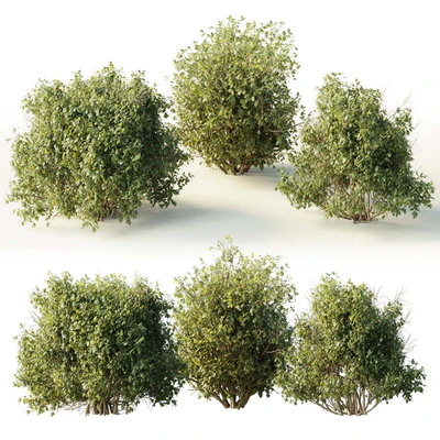 Collection mixed plants bush shrubs set 04 — Ver 3