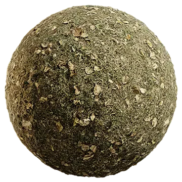 grass dried 050 — Скачать