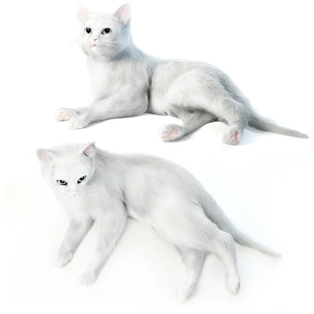 Relaxing cat 1 — Download