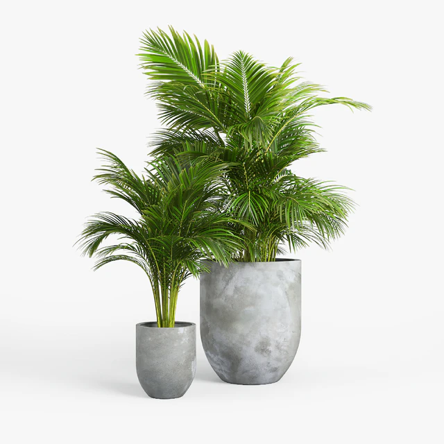 concrete set — Скачать