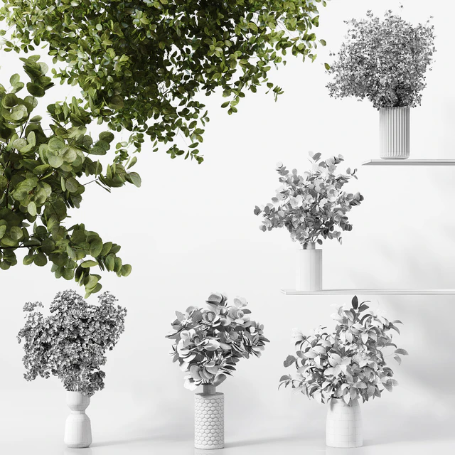 Collection Indoor Plants 041 — Скачать