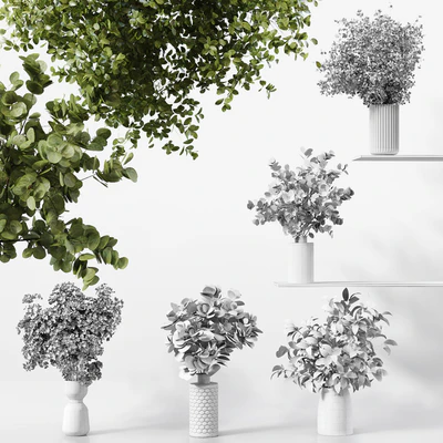 Collection Indoor Plants 041 — Вид 2