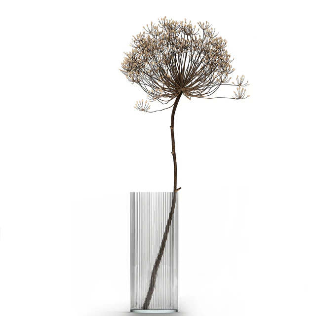 Bouquet of dried flowers in a glass vase with dry branches Hogweed . 158. — Descargar