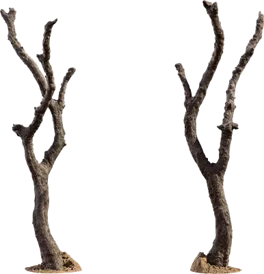 pruned tree 003 — Descargar