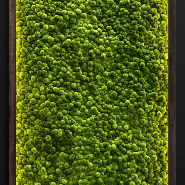 Moss wall 2 — Скачать
