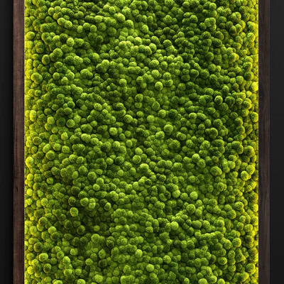 Moss wall 2 — Вид 3
