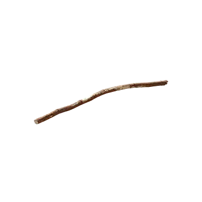 tree debris 014 — Descargar