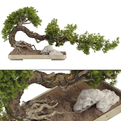 Bonsai Tree 229 — Ver 1
