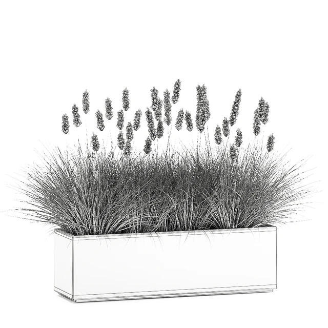 Outdoor metal pot in the bushes Pampas grass, flowerpot, flowerbed, reed. 905. — Descargar