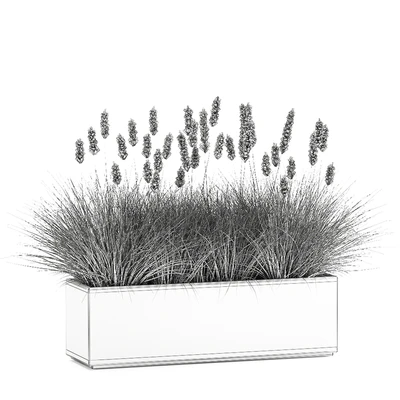 Outdoor metal pot in the bushes Pampas grass, flowerpot, flowerbed, reed. 905. — Ver 5