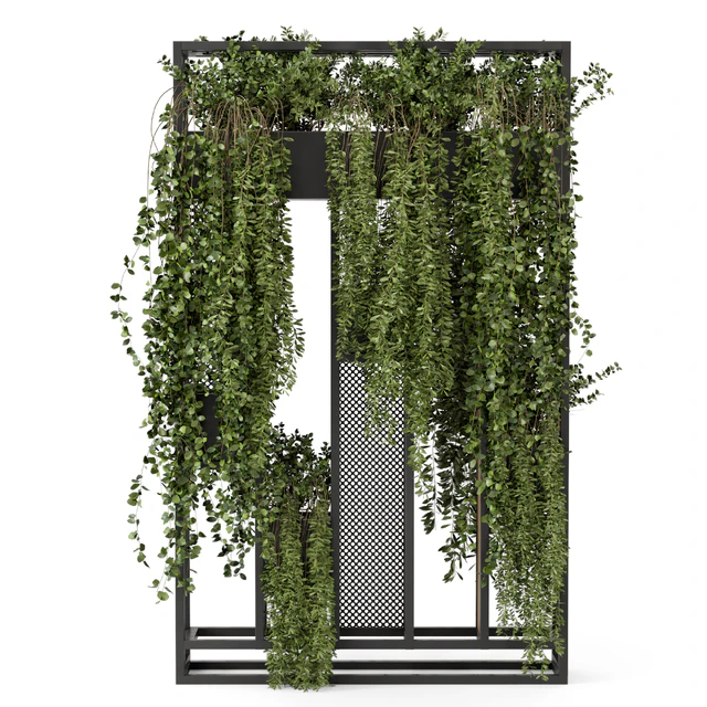 Indoor Hanging Plants in Metal Stand - Set 1005 — Descargar