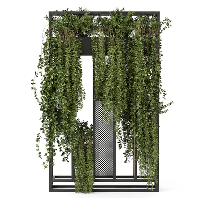 Indoor Hanging Plants in Metal Stand - Set 1005 — Ver 4