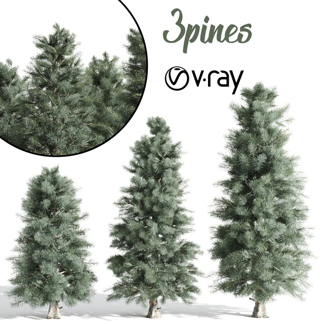 3 Pine tree — Descargar