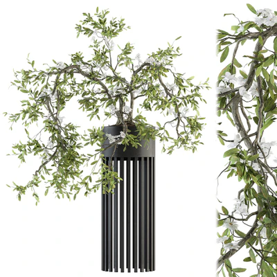 indoor Plant Set 198 - Bonsai in pot — Ver 1