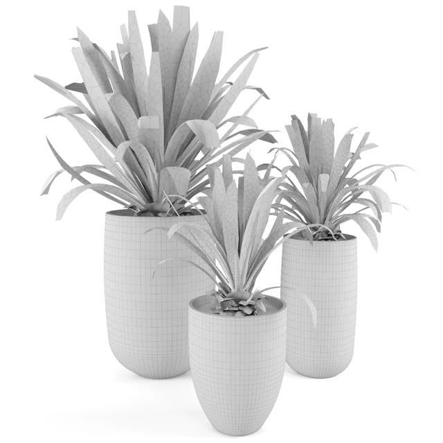 Indoor Plants  in Concrete Pots - Set 36 — Скачать