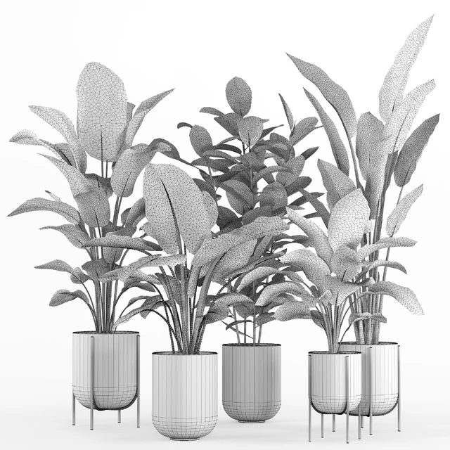 indoor plant set 007 — Скачать