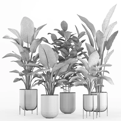 indoor plant set 007 — Вид 3