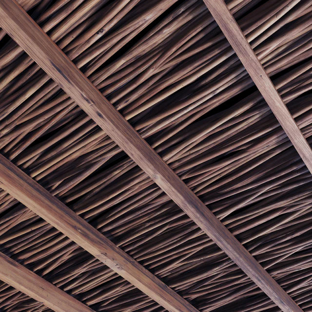 Ceiling thick branch crooked n1 — Descargar