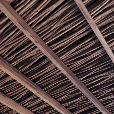 Ceiling thick branch crooked n1 — Ver 5