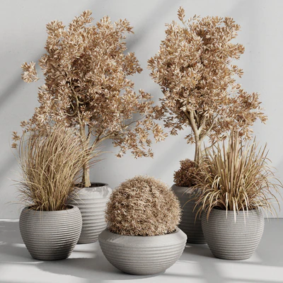 Dry Grass and Trees in a Concrete Pot - Indoor plant autumn set 570 — Вид 3