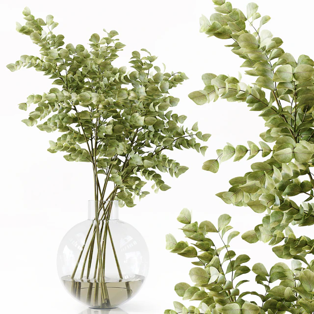 Collection Indoor Plants 049 — Descargar