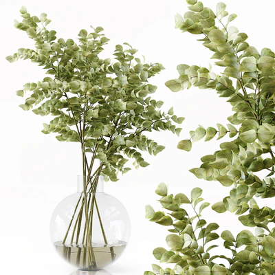 Collection Indoor Plants 049 — Ver 3