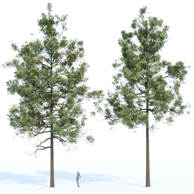 pine trees collection vol 11 — Скачать