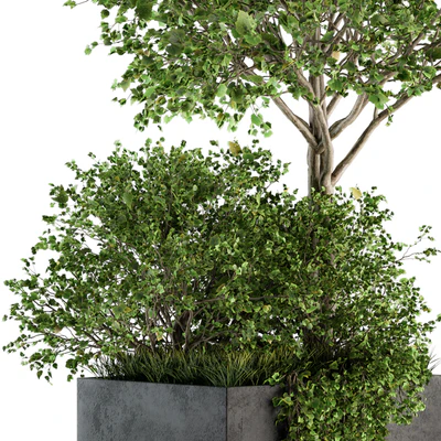 Outdoor Plants in Concrete Plant Box - Set 93 — Ver 3