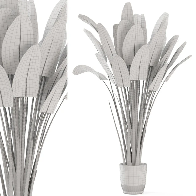 Indoor Plants In Handmade Glazed pot - Set 190 — Descargar