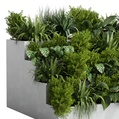 Collection outdoor indoor plant 54 stairs concrete vase pot fern bush grass ficus rubbery — Ver 3